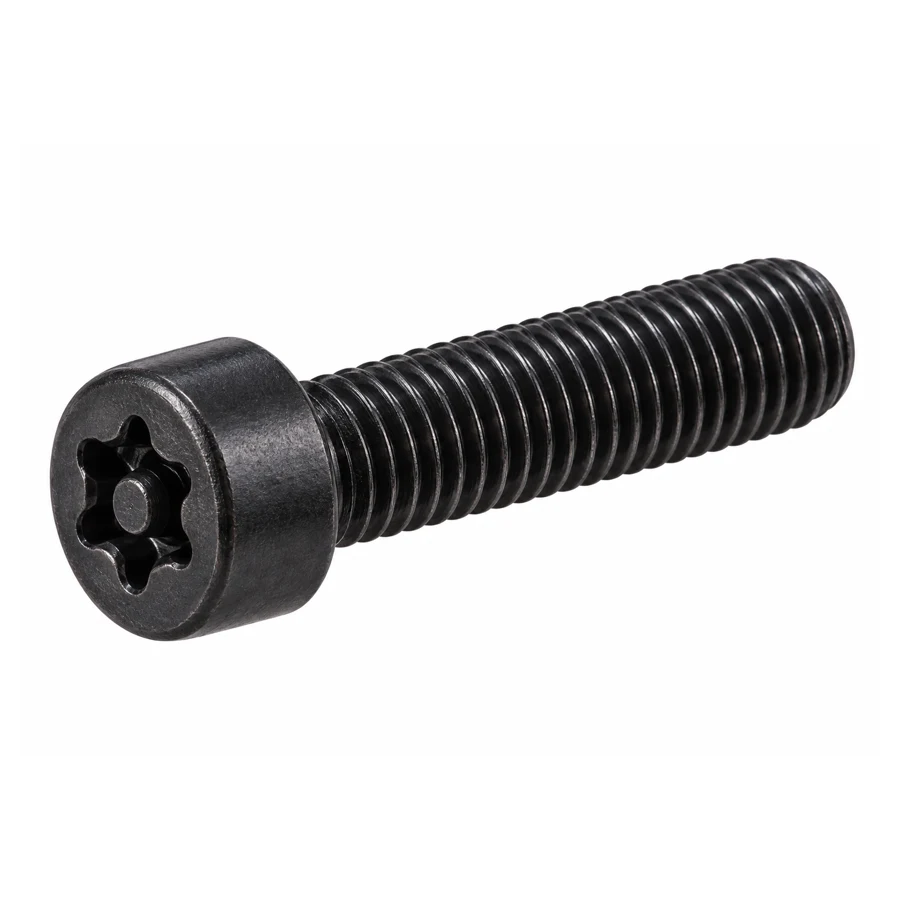 Torx security screw, cylindrical head, M7×25