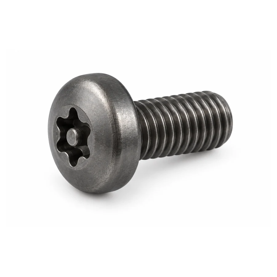 Torx security screw, cheese head, M8×12